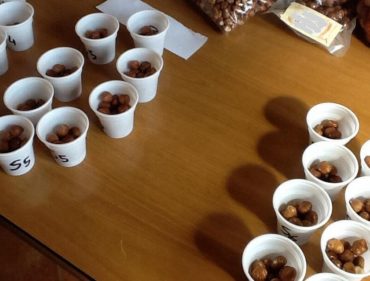 L'assaggio della nocciola