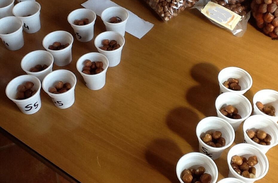 L'assaggio della nocciola