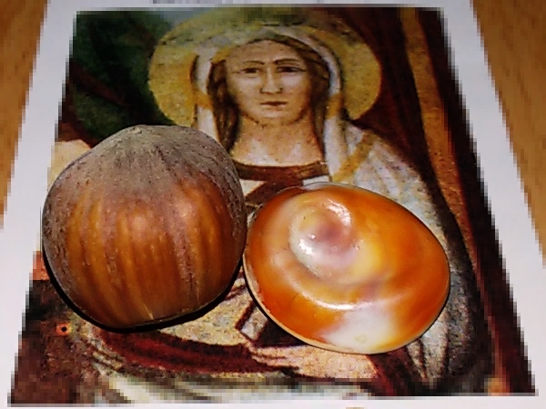 occhi_santa_lucia