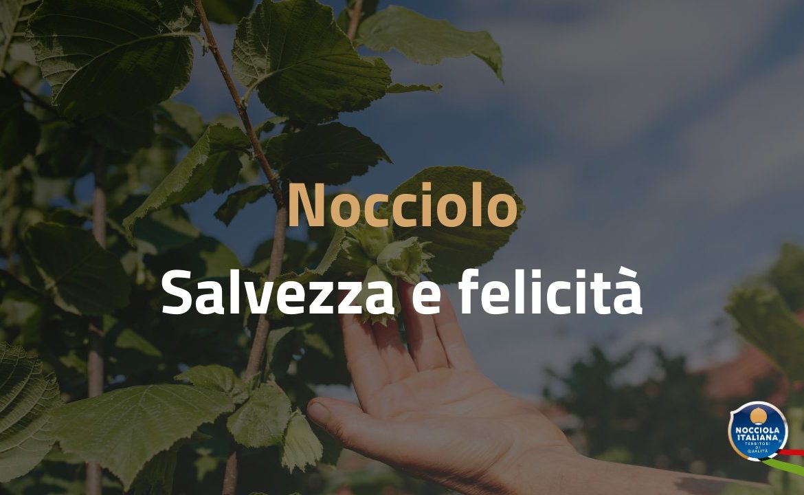 BLOG SALVEZZA