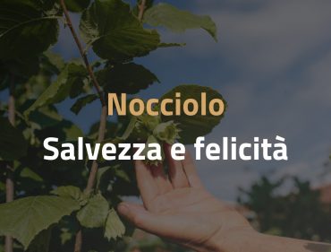 BLOG SALVEZZA
