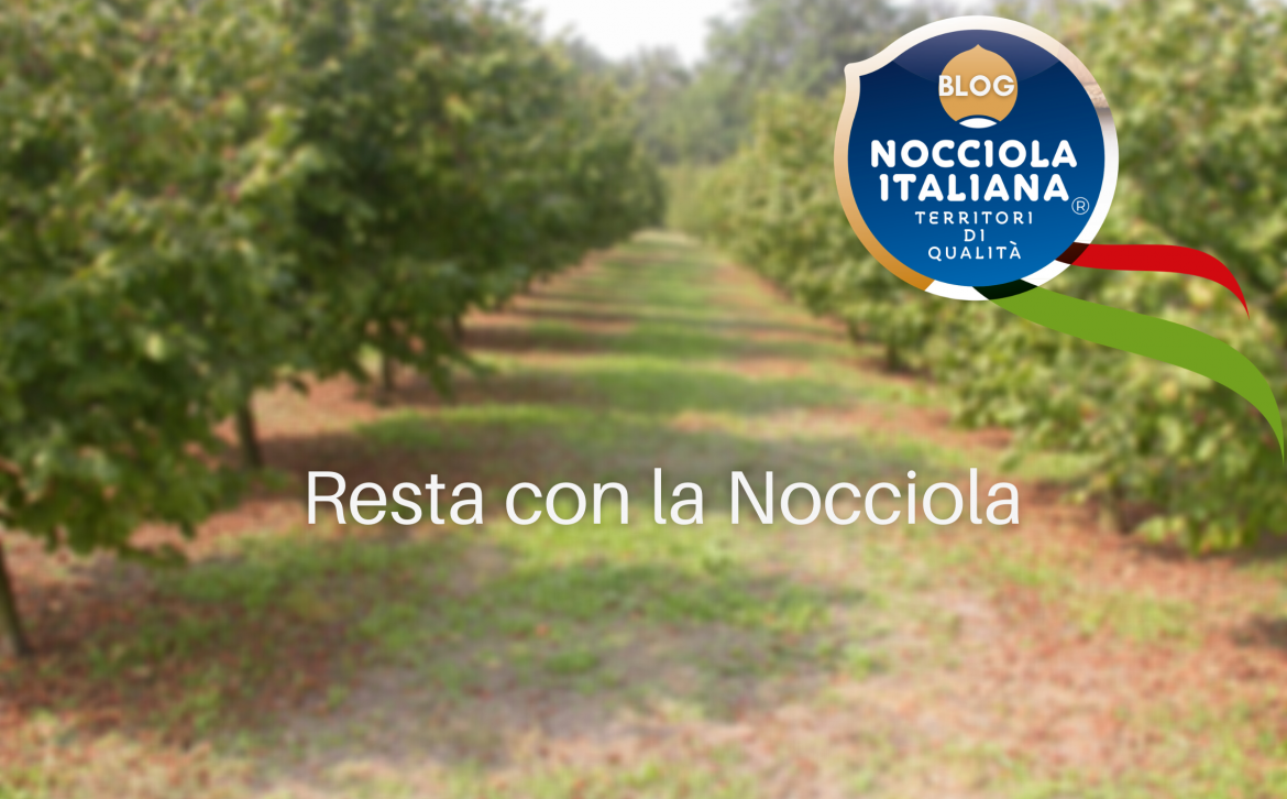 Resta con la nocciola