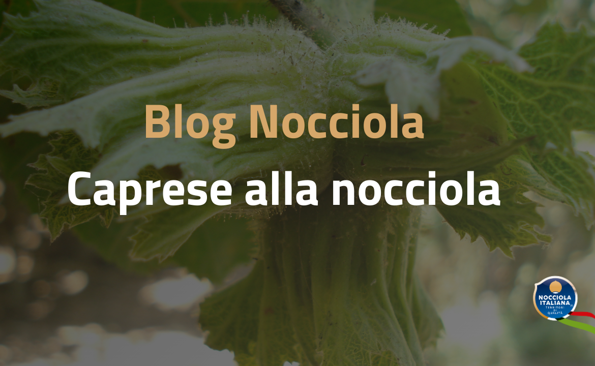 blog febbraio 4