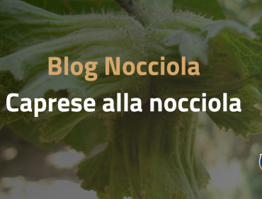 blog febbraio 4