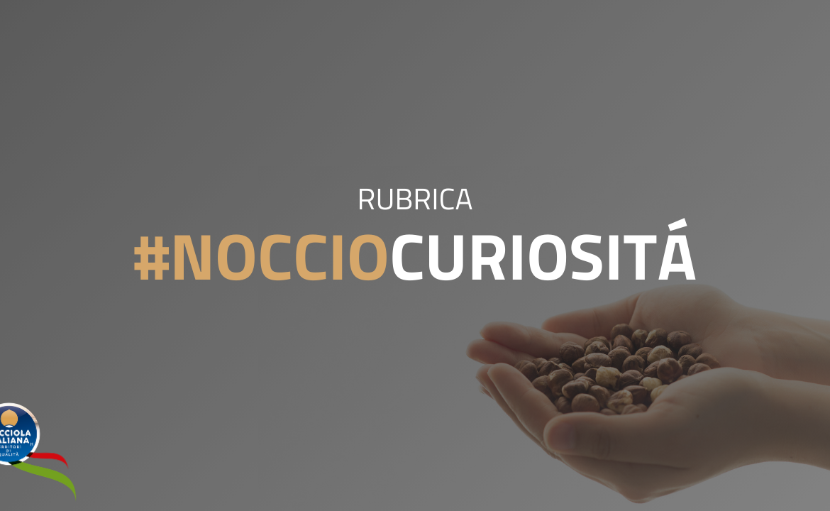 nocciocuriosita