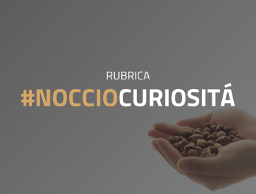 nocciocuriosita