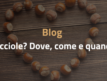 nocciole dove come e quando