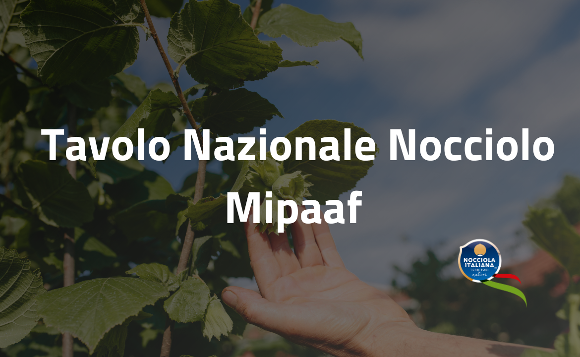 tavolo nocciolo