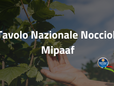 tavolo nocciolo