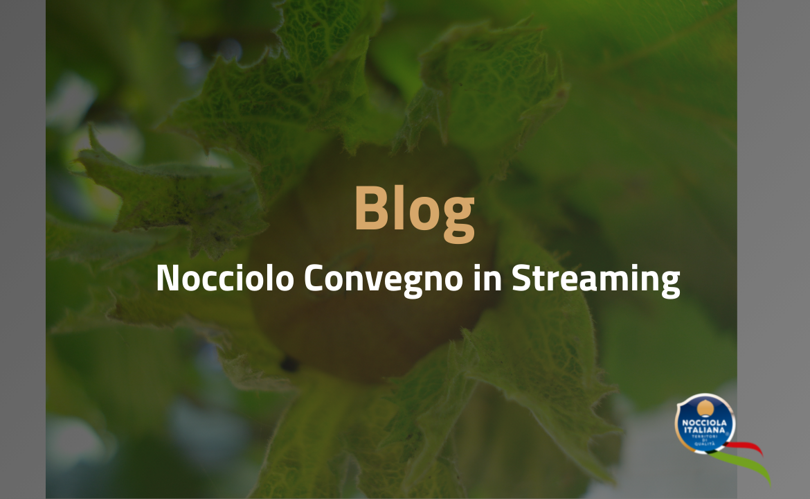 convegno blog