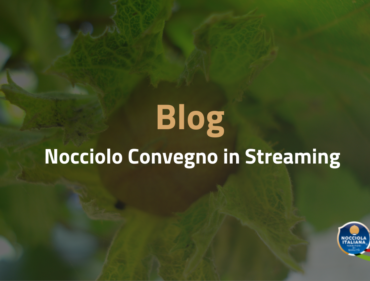 convegno blog