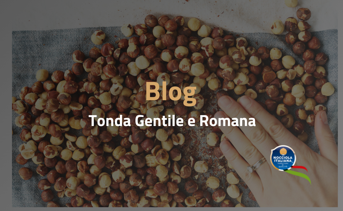 tonda gentile romana blog